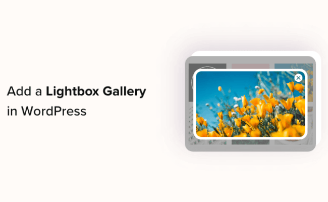 How To Add A Gallery In WordPress With A Lightbox Effect - Utibe Inyang