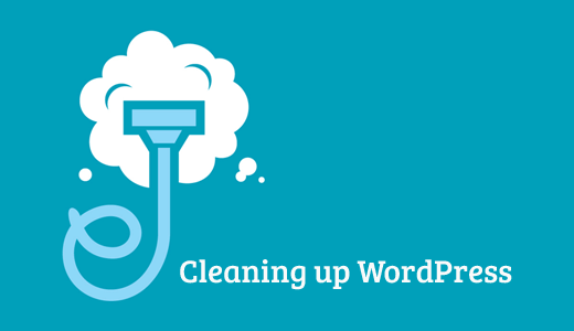 Cleaning up your wordpress database is a key part of your site optimization. How To Clean Up Your Wordpress Database For Improved Performance