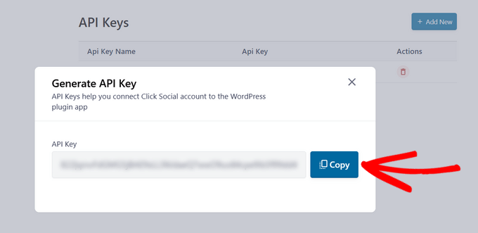 Copy the API key Copy the API key