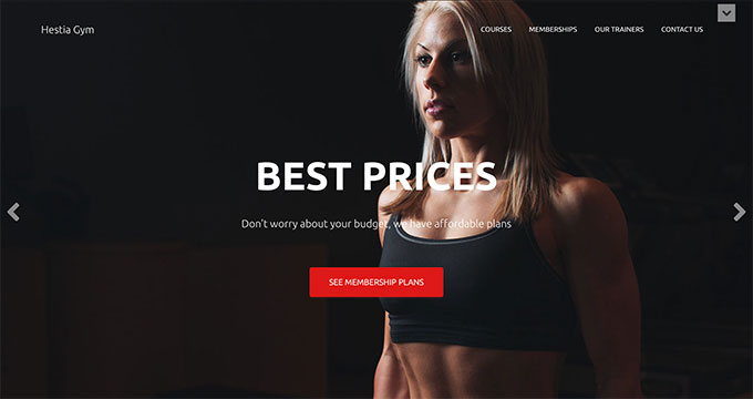 Hestia Pro Hestia Pro