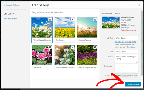 The wordpress plugin supports youtube, vimeo, instagram, flickr . How To Create An Image Gallery In Wordpress Step By Step