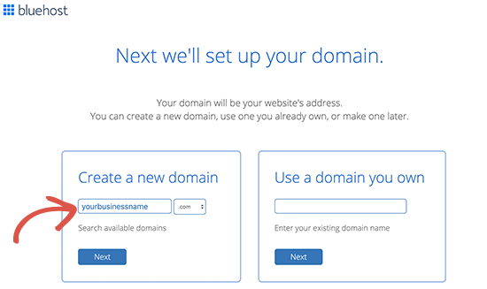 Free domain hosting and email