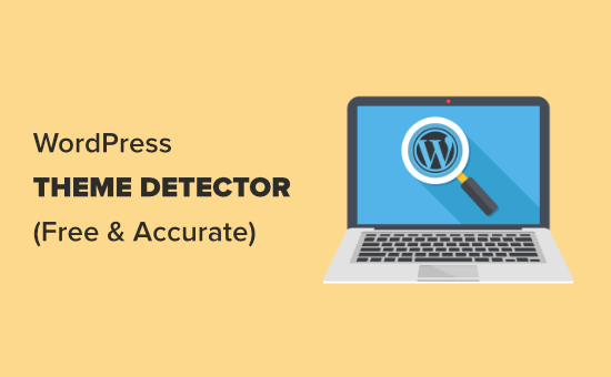 Understand the ways to find malicious code in your wordpress theme and prevent your website from hacking or malware attacks. Wordpress Theme Detector Find What Theme A Site Is Using Free