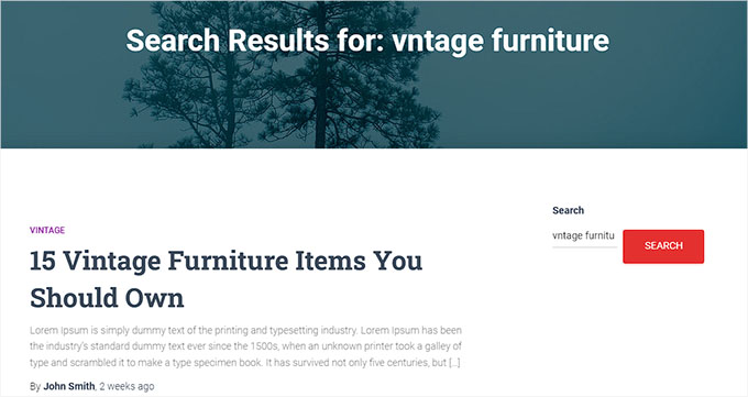 An example of fuzzy search on a WordPress website An example of fuzzy search on a WordPress website