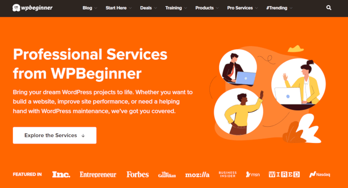 Professional WordPress  Services by WPBeginner Professional WordPress Services by WPBeginner