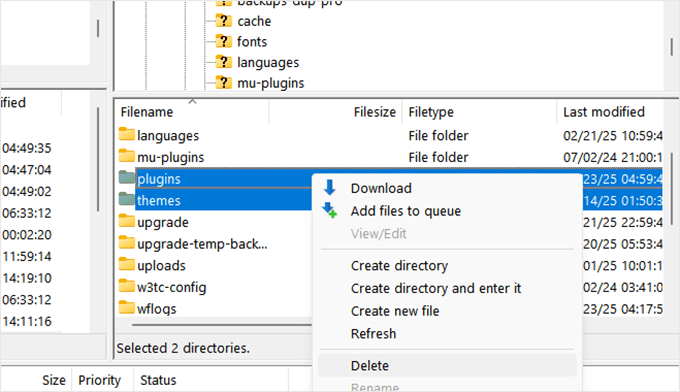 Delete plugins and themes folder Delete plugins and themes folder
