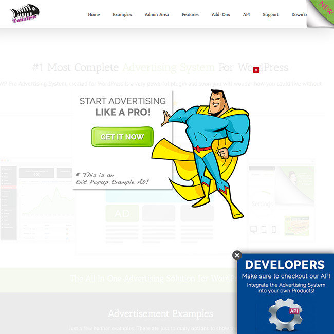 A browser extension or toolbar that you may have installed in your browser. WP PRO Advertising System Ad Manager WordPress Plugin - WPExplorer