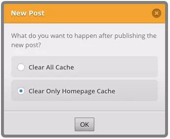 New Post Option