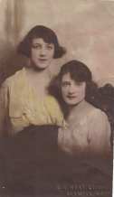 Wild Violets, a novel