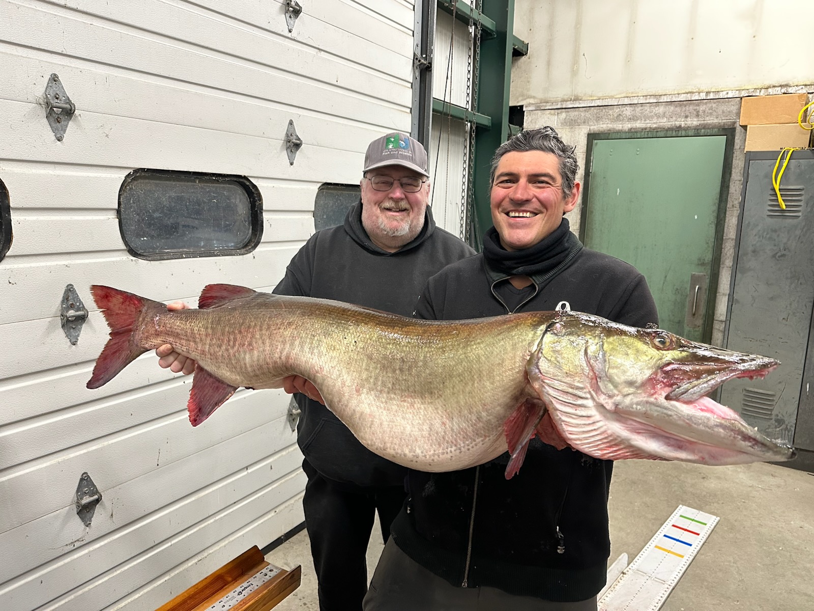 Warwick Angler Lands Potential State-Record Northern Pike on
