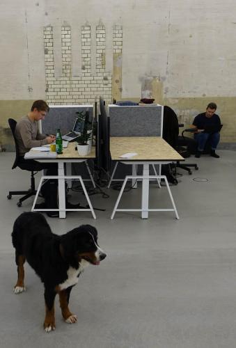 Staffbase goes xbrick Staffbase WD3 WP Office workspace with XBrick