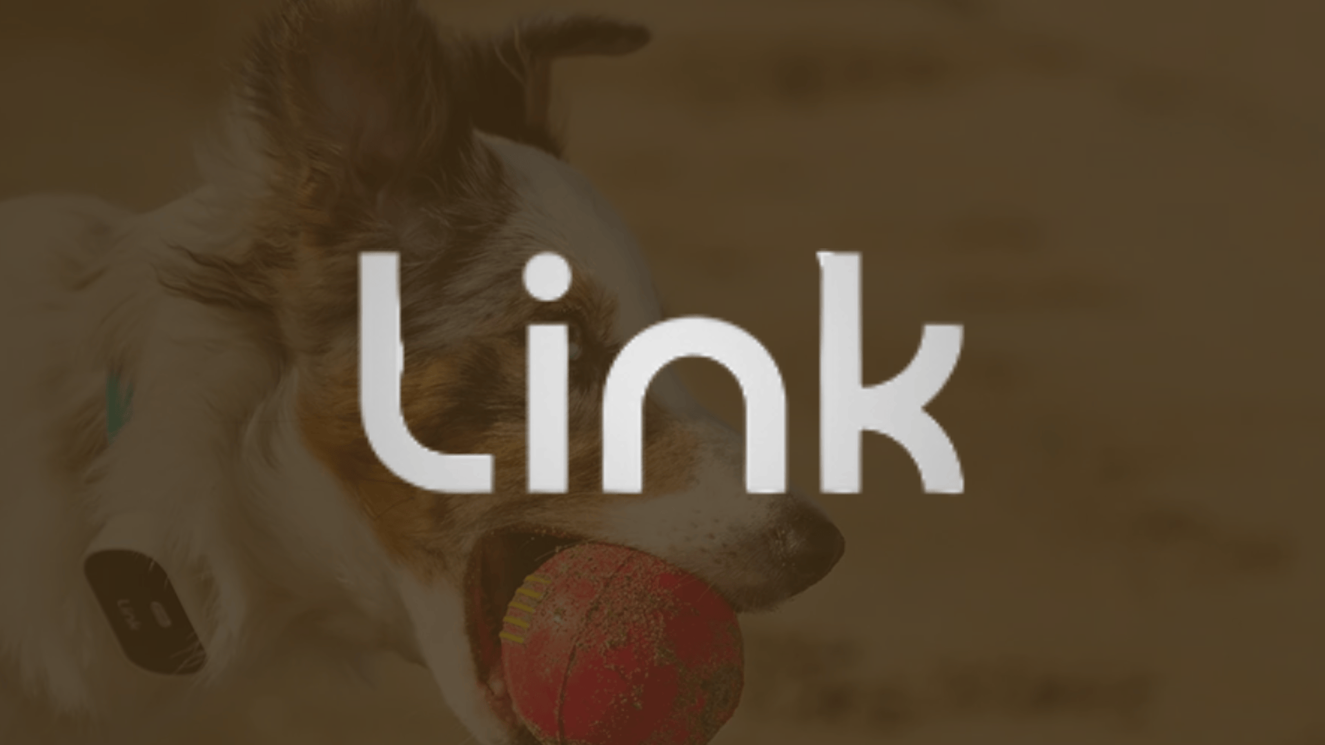 link