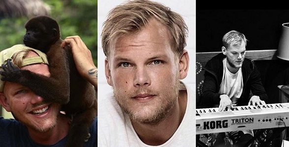 dj DJ Avicii