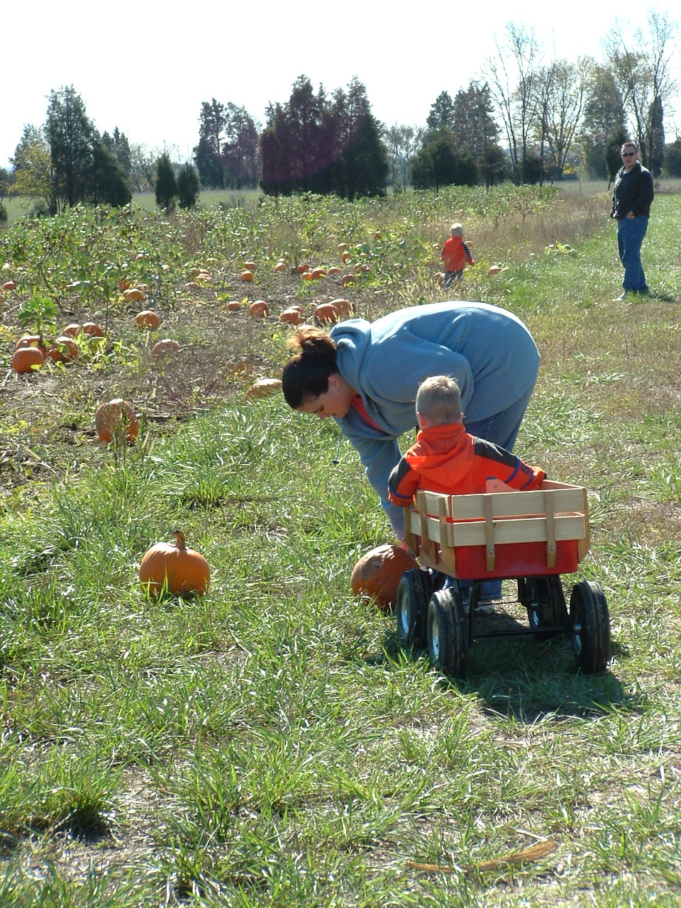 Yankey Farms Pumpkin Patch Opening Day