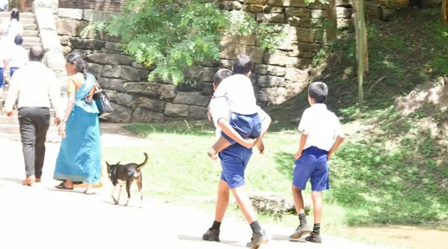 பலரையும் நெகிழ வைத்த செயல்! தனது நண்பனை பாடசாலைக்கு சுமந்து செல்லும் நட்பு