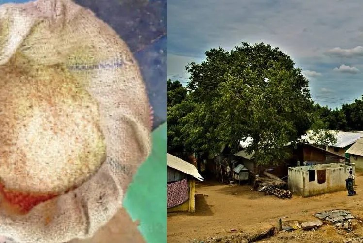 எங்களுக்கு மிகவும் சிரமமாக உள்ளது! குமுறும் இலங்கை தமிழர்கள்… புகைப்படத்துடன் வெளிவந்த முழுமையான பின்னணி தகவல்