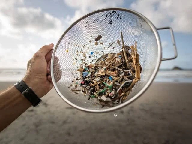 Plastic Rain: प्लास्टिब की बारिश: दुनिया में पहली बार मौसम विभाग ने जारी किया अजीबोगरीब अलर्ट 1 images 3