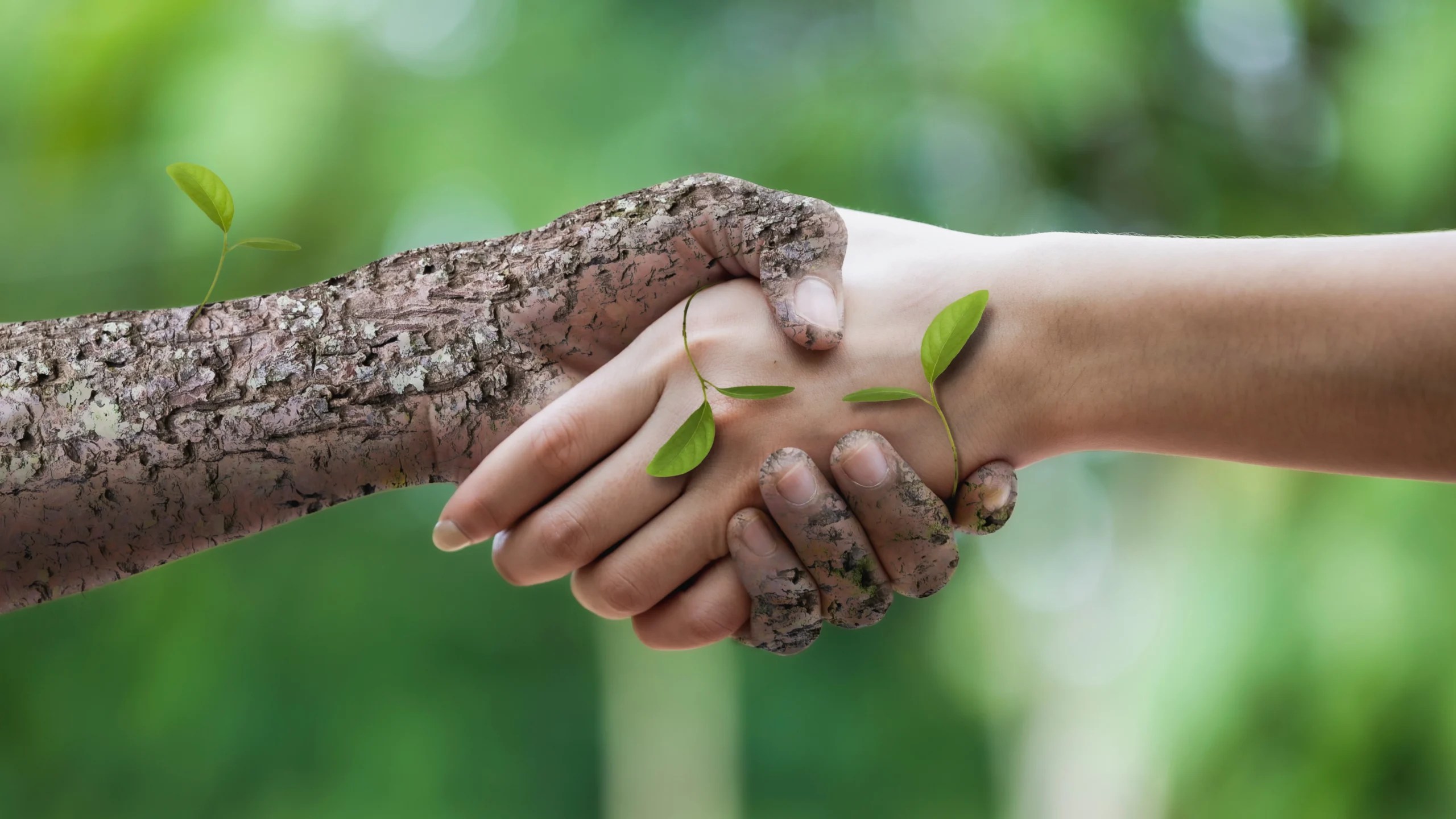HandInHandwith Nature