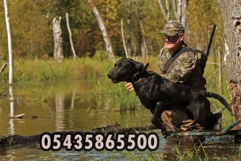 Av Kopekeri 0532 343 8041 Panosundaki Pin