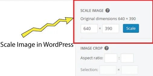 Por si no lo sabes, y si no, ya . Tutorial with Images - Rotate, Scale, Flip and Crop Image in Your WordPress Site Easily