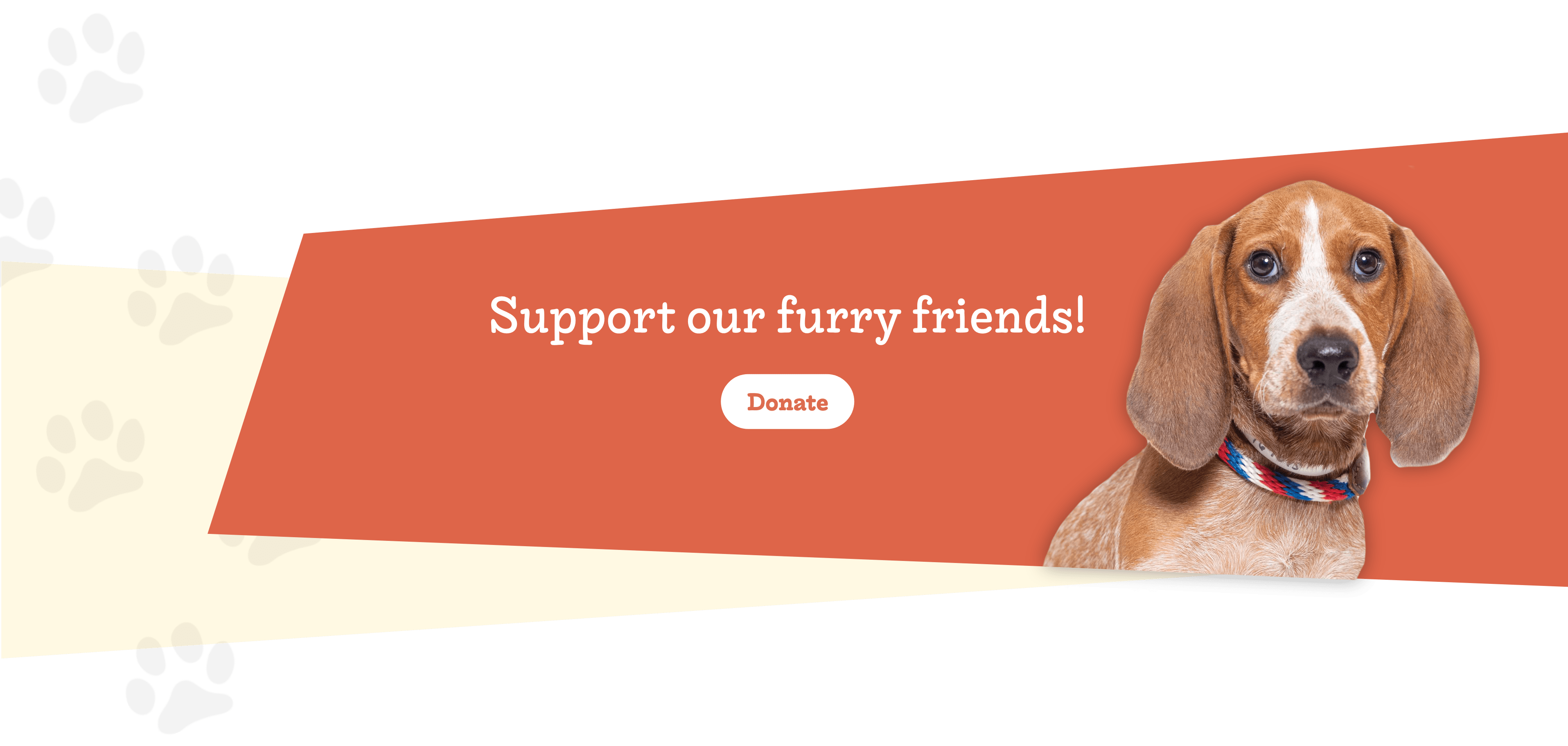 Young-williams animal center