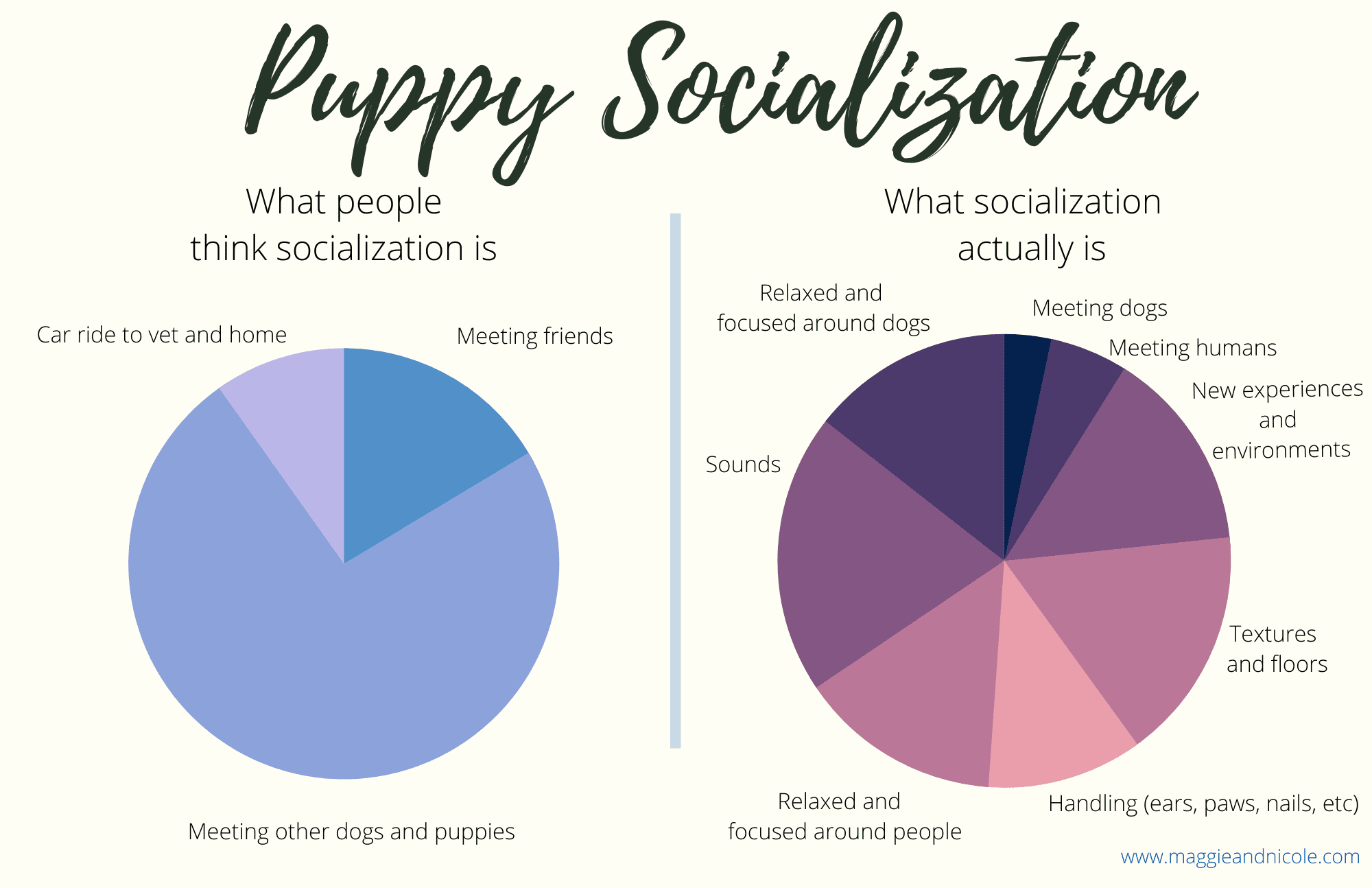 https://tailswithnicole.com/puppy-socialization/