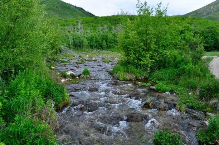 Cascade Springs