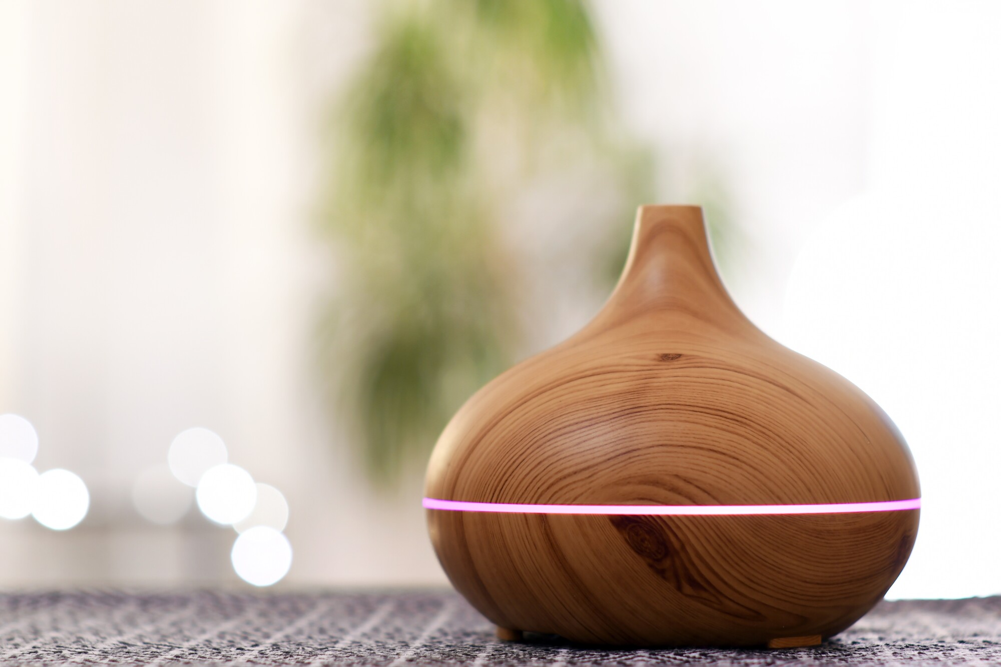 Scent Diffusers and Pets The Complete Safety Guide for Pet Owners