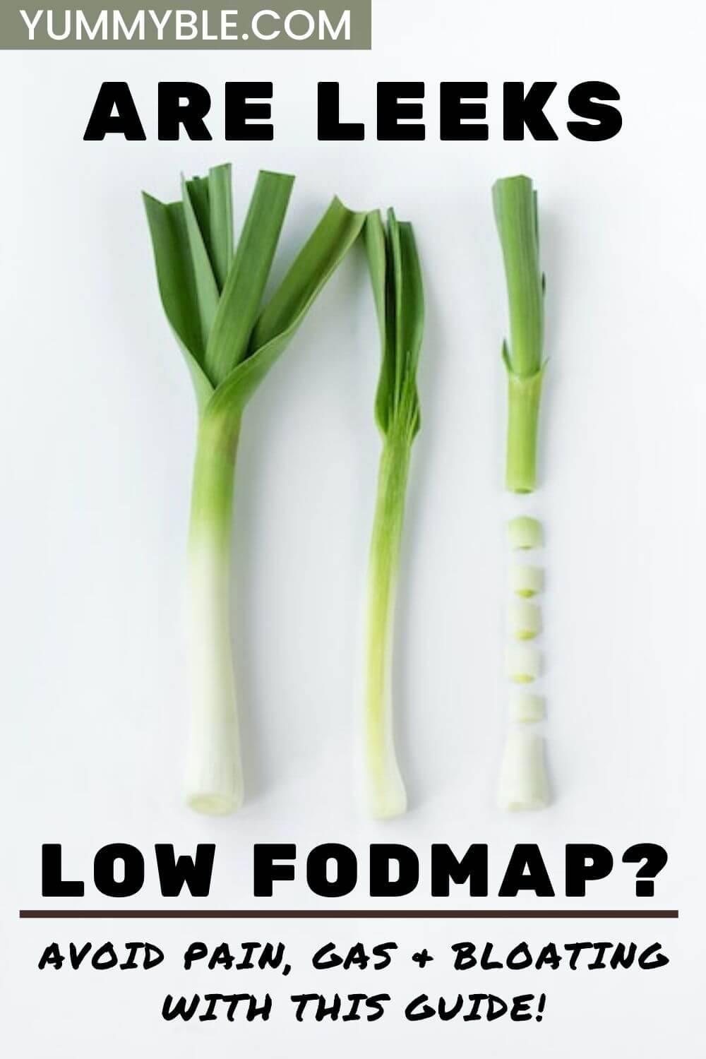 are leeks low fodmap