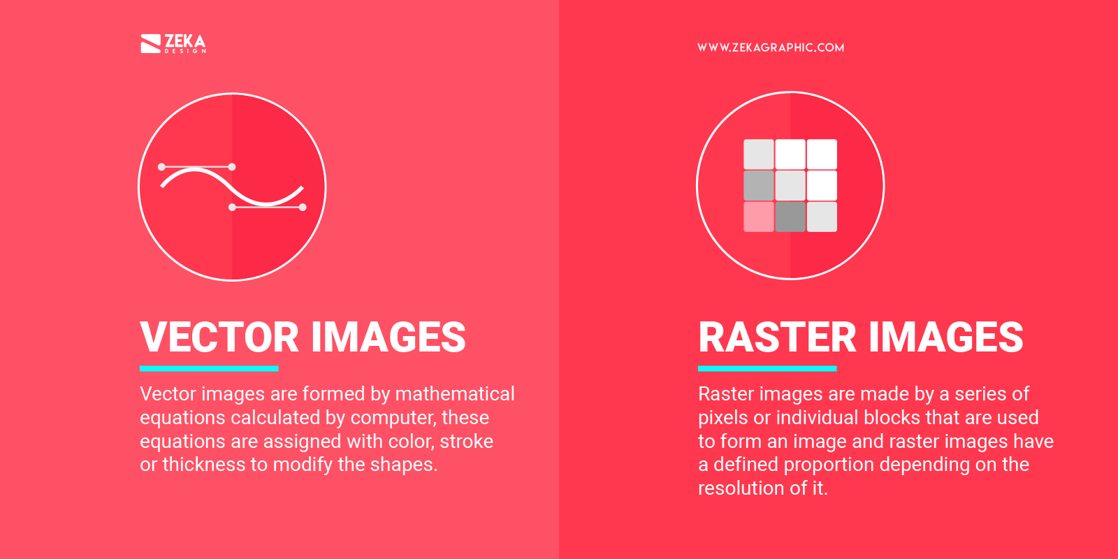Vector Images vs Raster Images Difference Explained