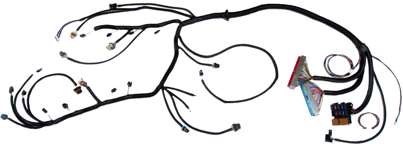 99 - '03 VORTEC W/ T56 STANDALONE WIRING HARNESS (DBC)