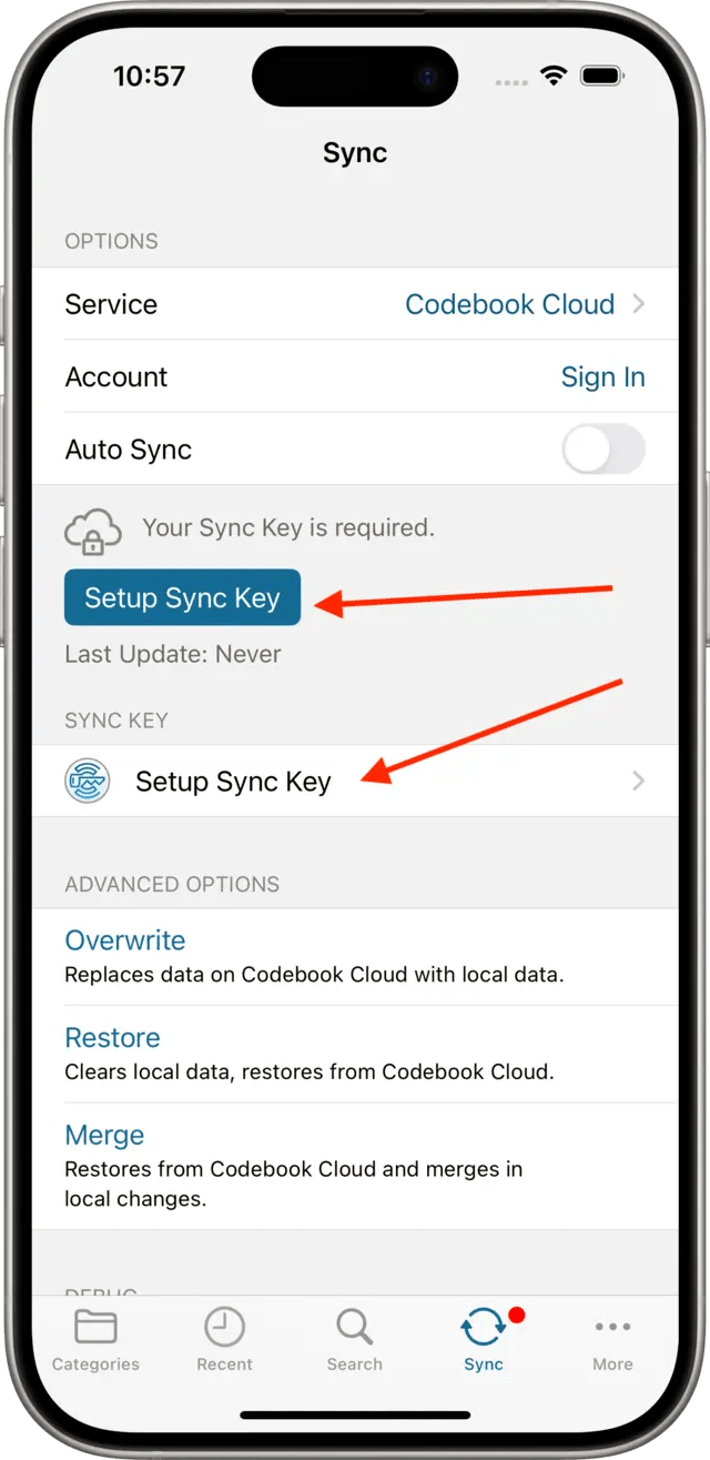Codebook Help Setup Your Sync Key - High Quality Sunset Background - 8K