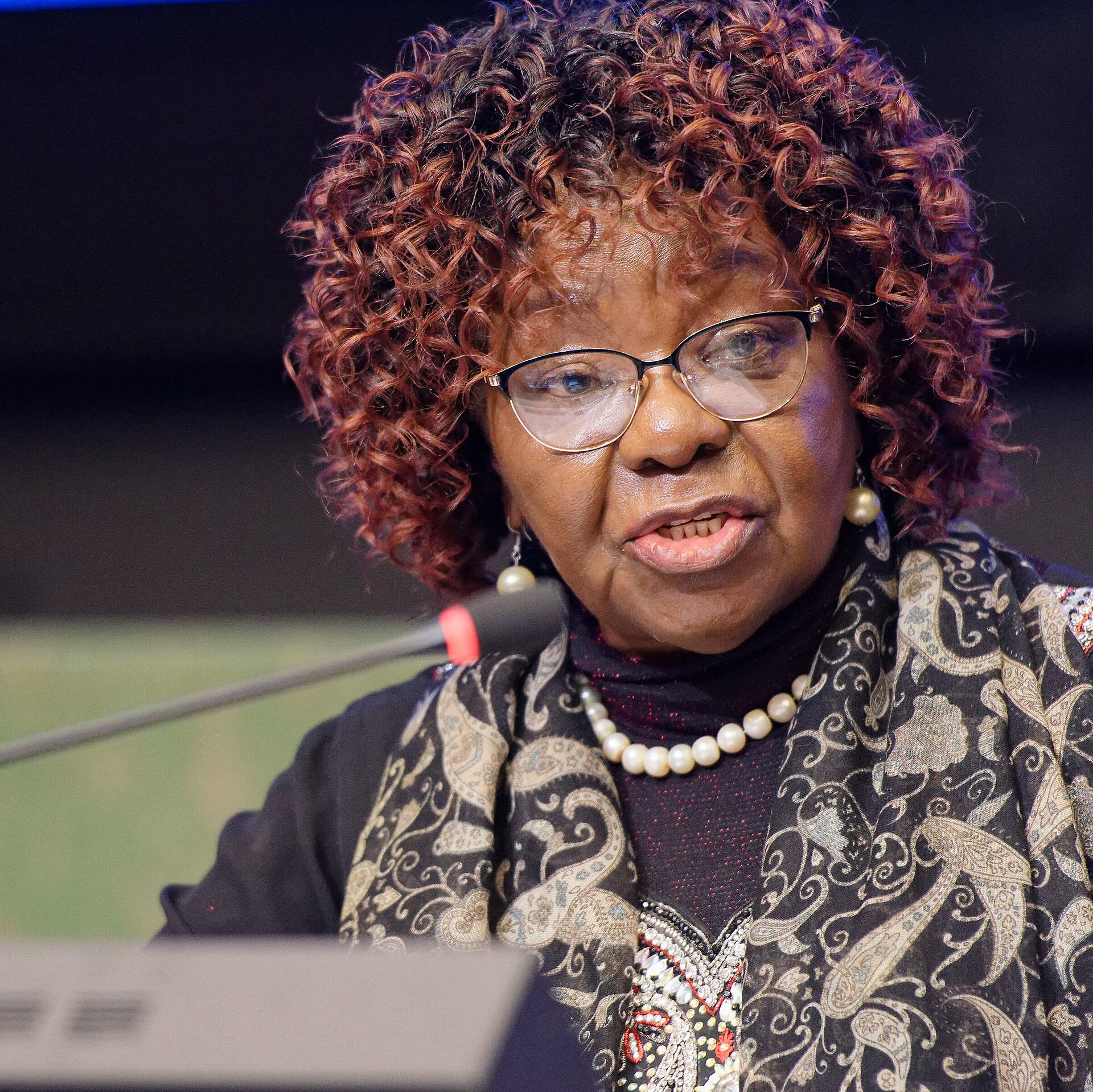 Zimbabwe’s Mnangagwa Removes Sithembiso Nyoni from Environment and Wildlife Post – What This Means for the Future Zimbabwe’s Mnangagwa Removes Sithembiso Nyoni from Environment and Wildlife Post – What This Means for the Future