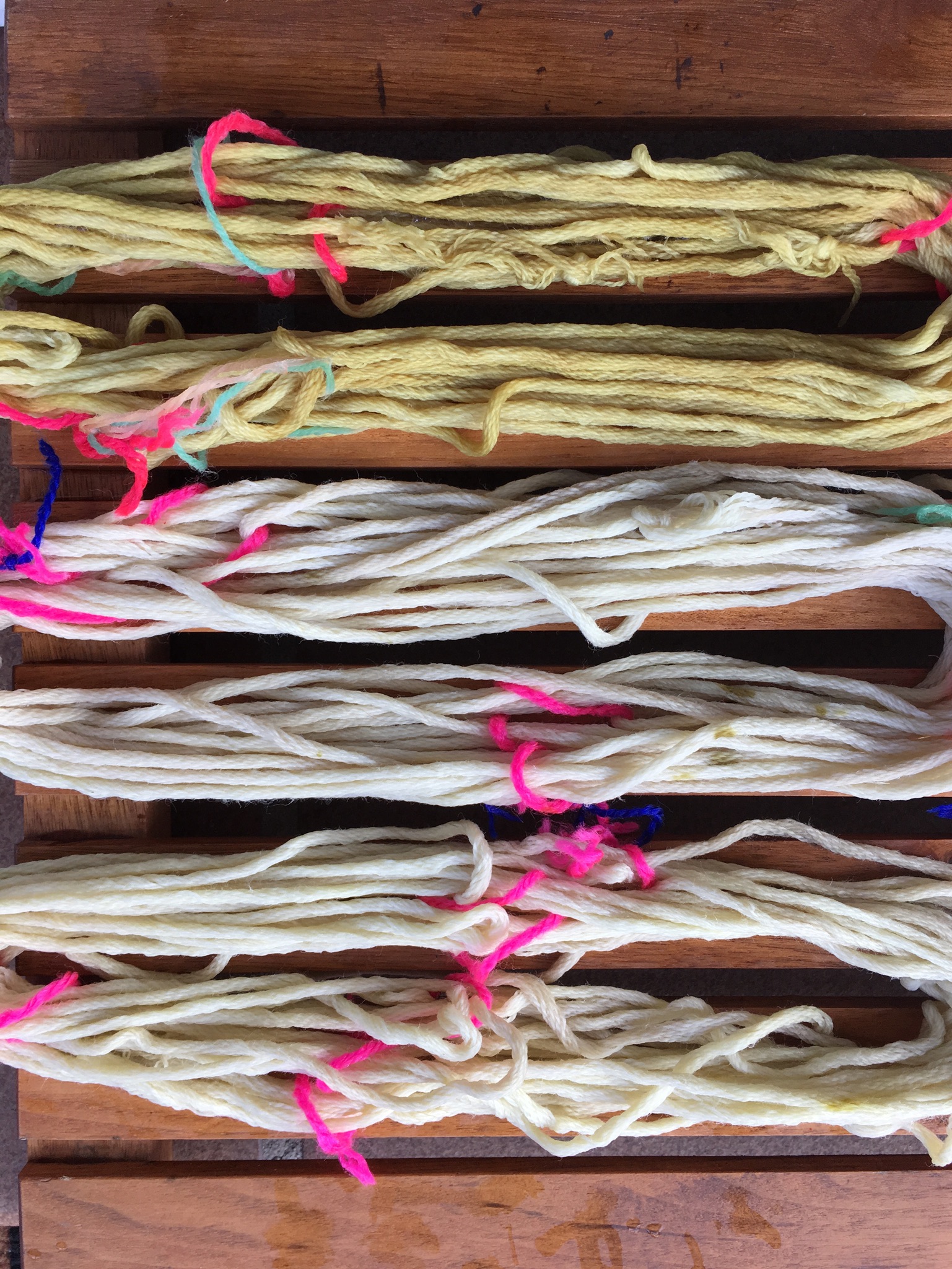 Sage Dye: Yarn close up