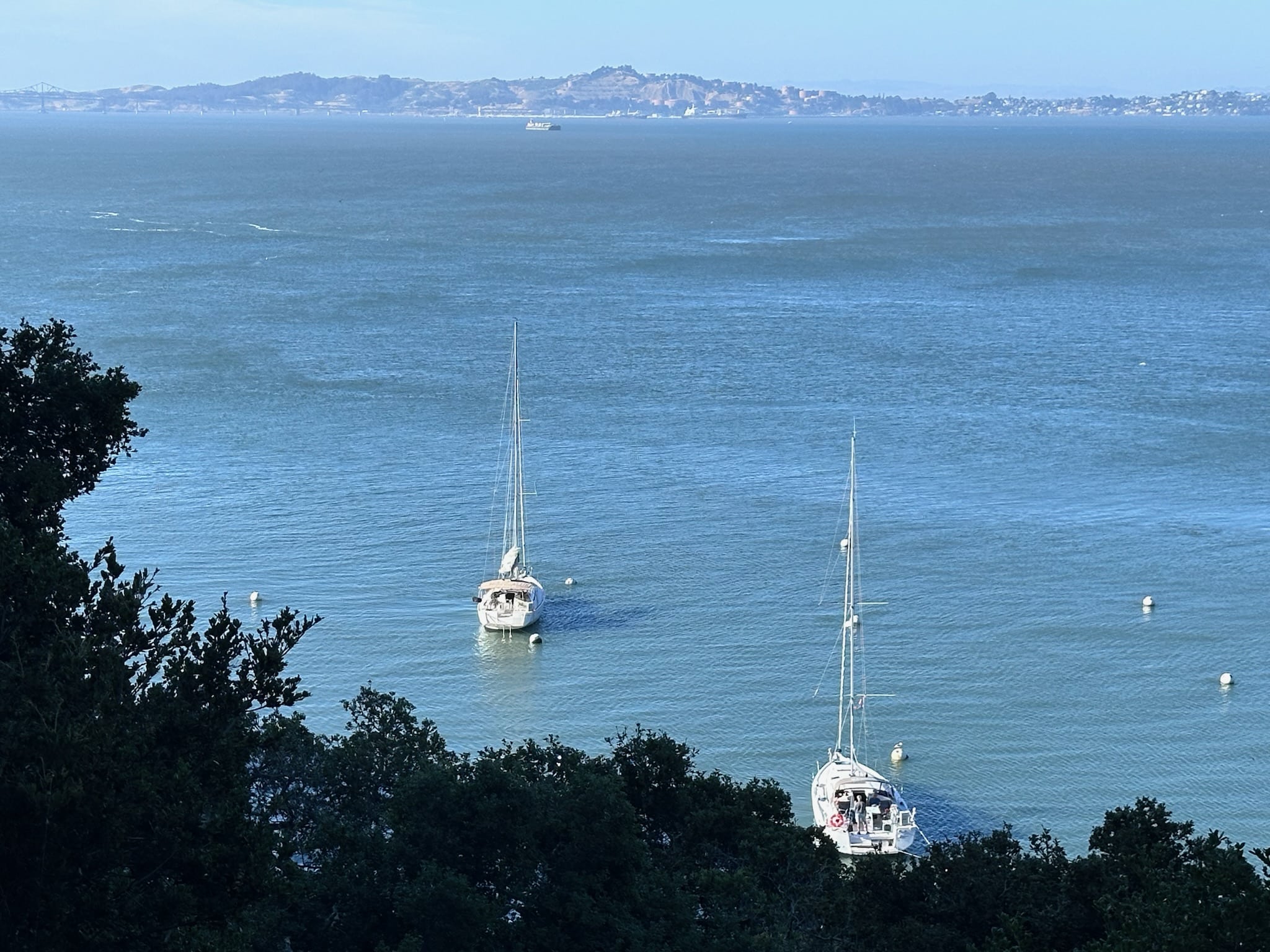 Zosca at Ayala Cove - Angel Island