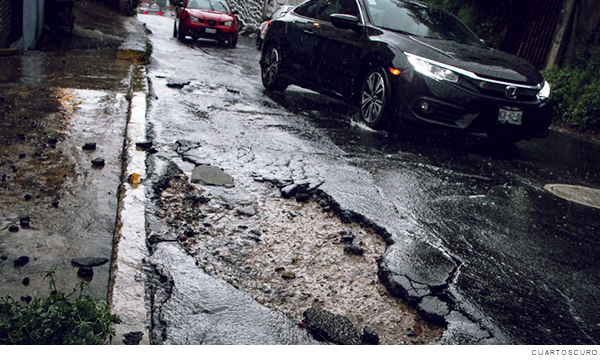 Baches