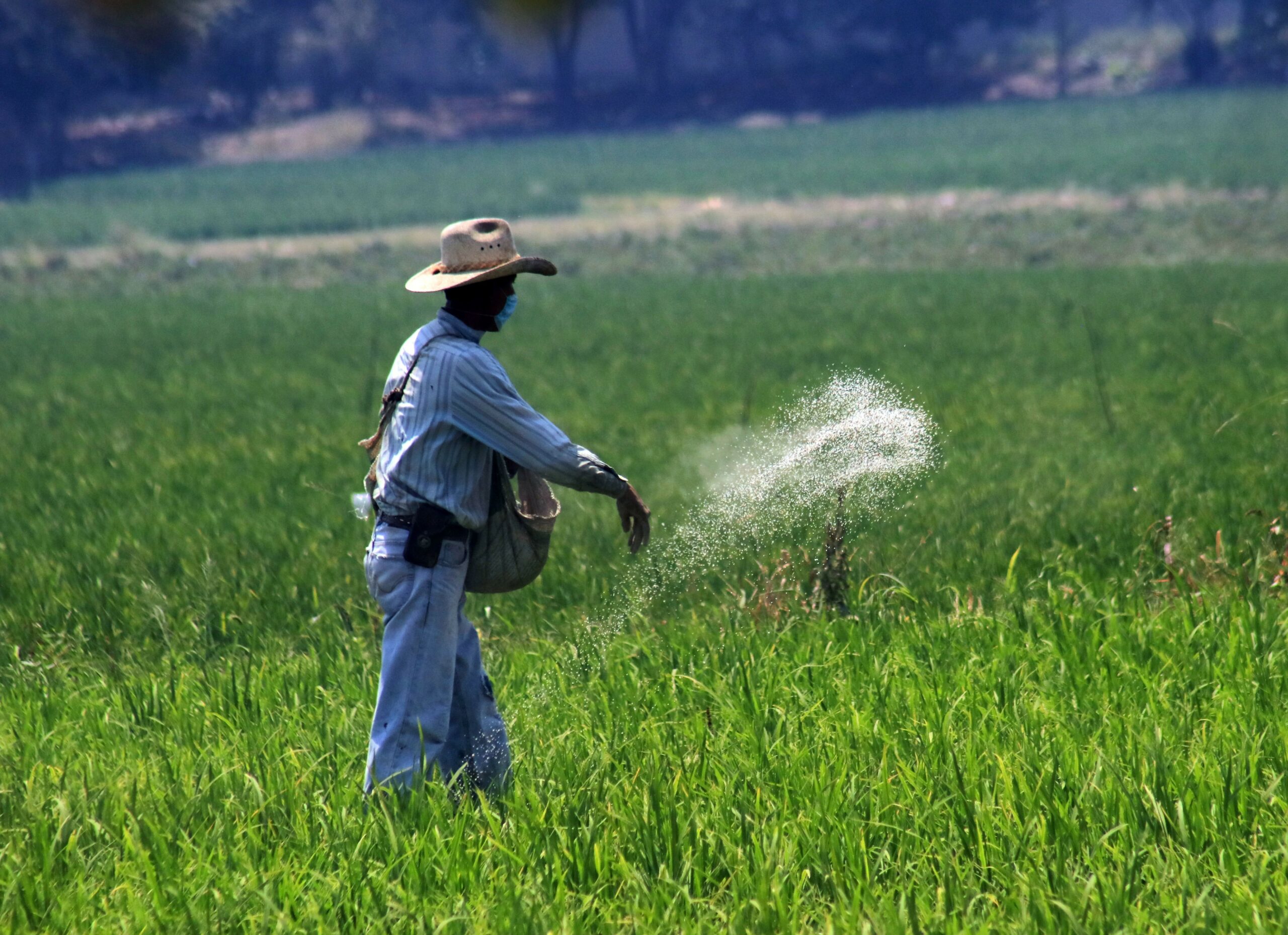En México, 125 sitios contaminados por plaguicidas