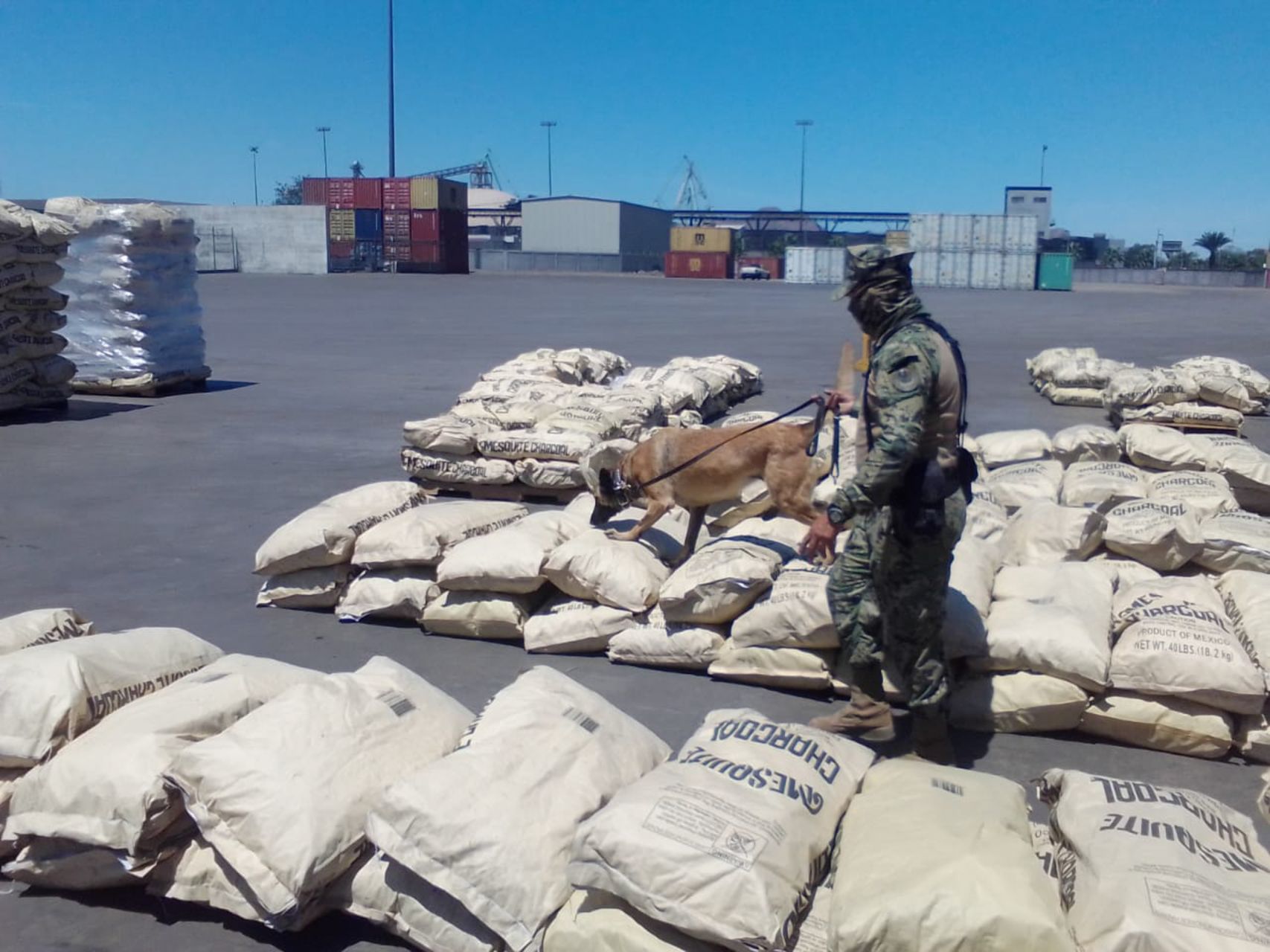 En el puerto de Mazatlán, autoridades incautaron 1.5 toneladas de posible metanfetamina, afirmó un comunicado