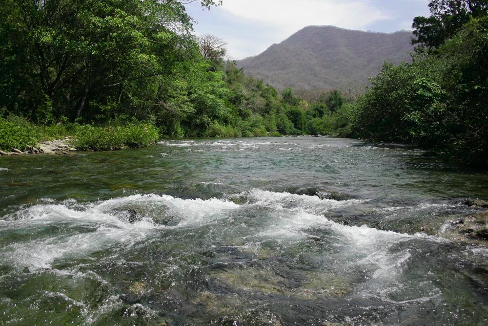 Zoques de Chimalapas, en defensa de ríos frente a Minaurum Gold