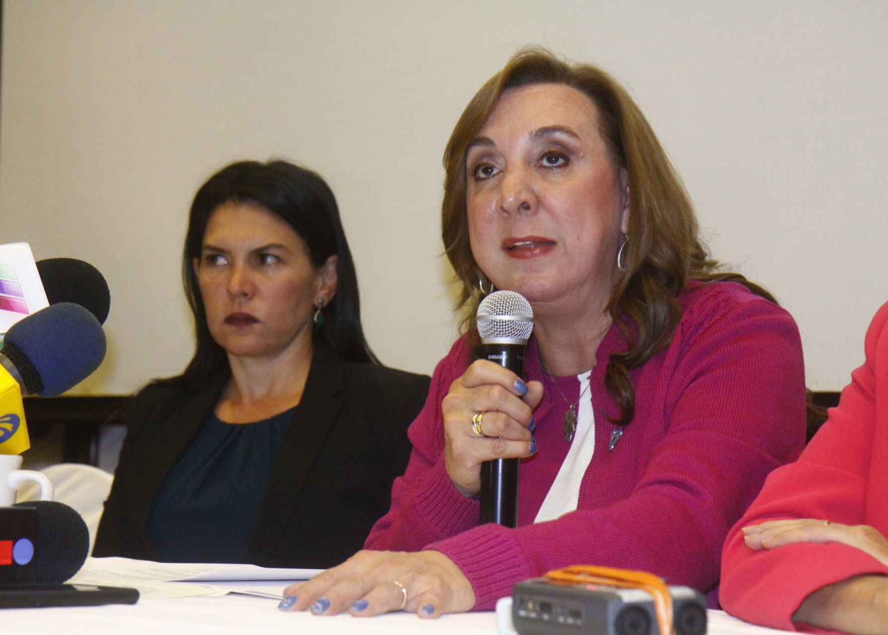 DIF nacional busca romper relación con albergues de Rosi Orozco
