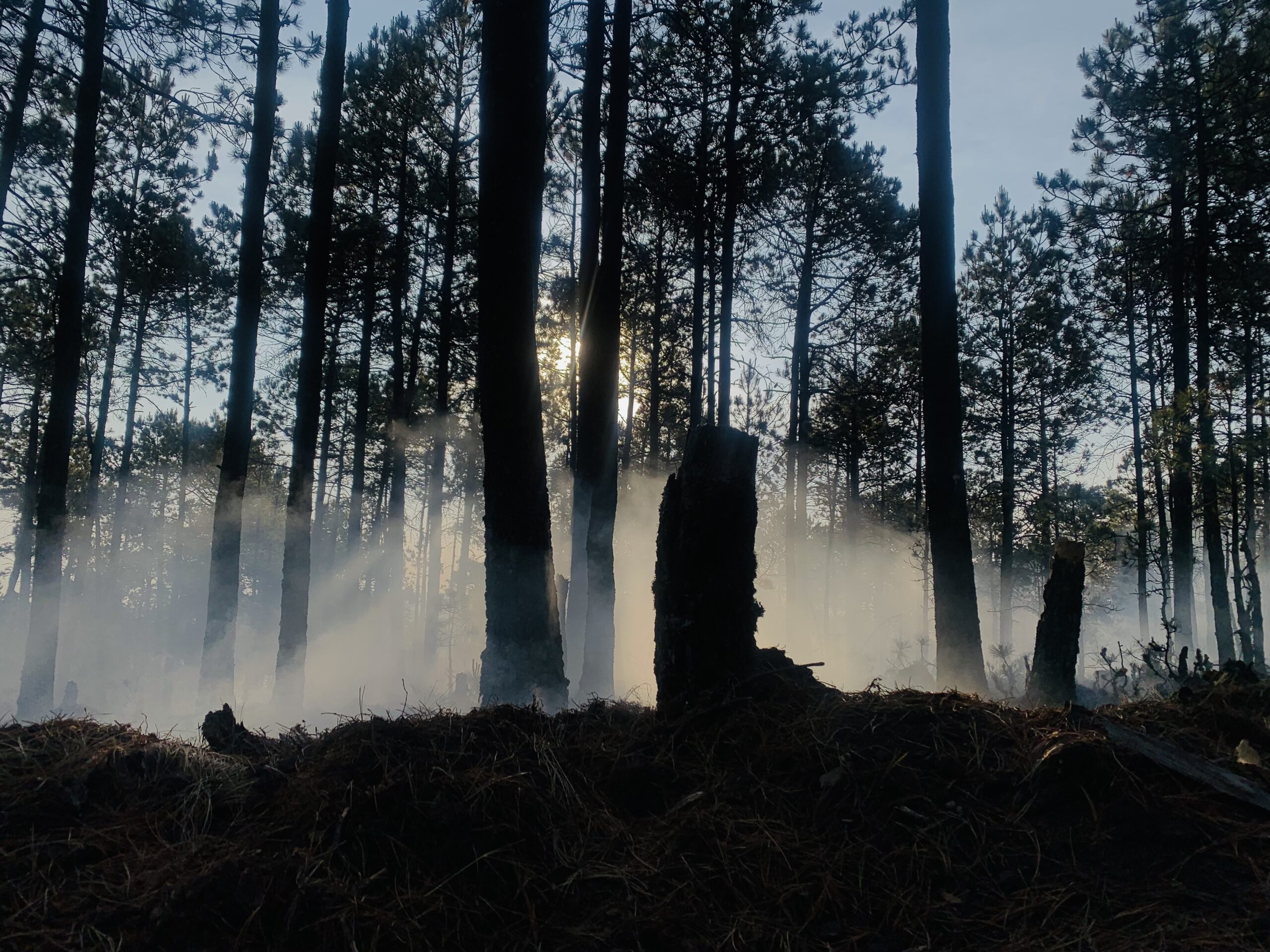 Conafor confirma fallecimiento de EleazarToleño Pajarito Guerrero, combatiente de la Brigada de Protección Forestal