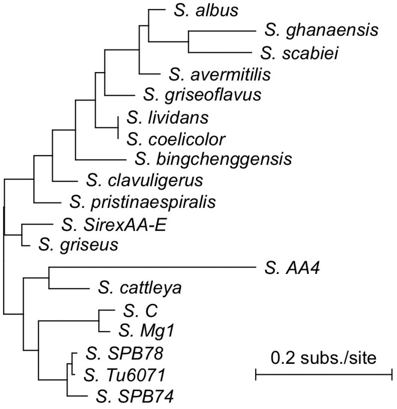 Decipher Examples Gallery - Dark Texture Collection - 4K Quality