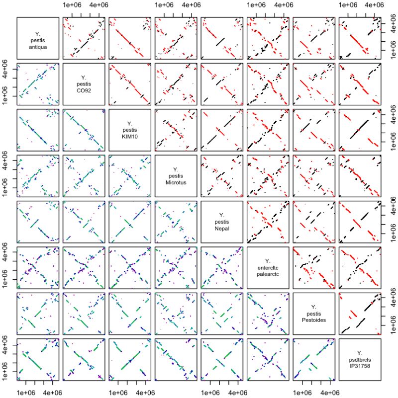 Decipher Examples Gallery - Professional High Resolution Minimal Designs | Free Download