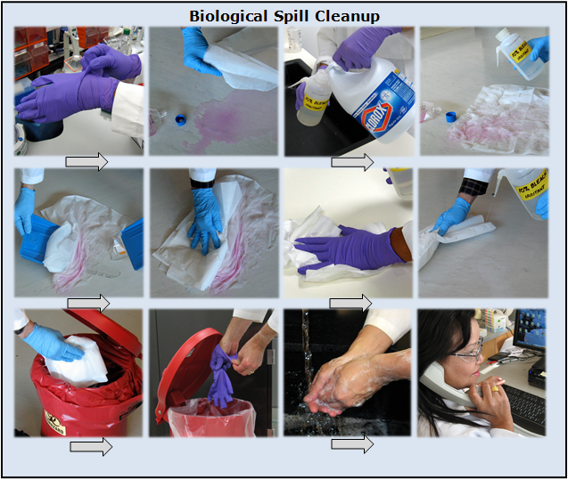 36+ Inspirational Biology Lab Bench : Biology 318G : Lifewire interactive animations (with quizzes) .