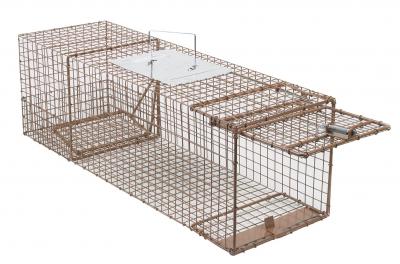 Cage trap