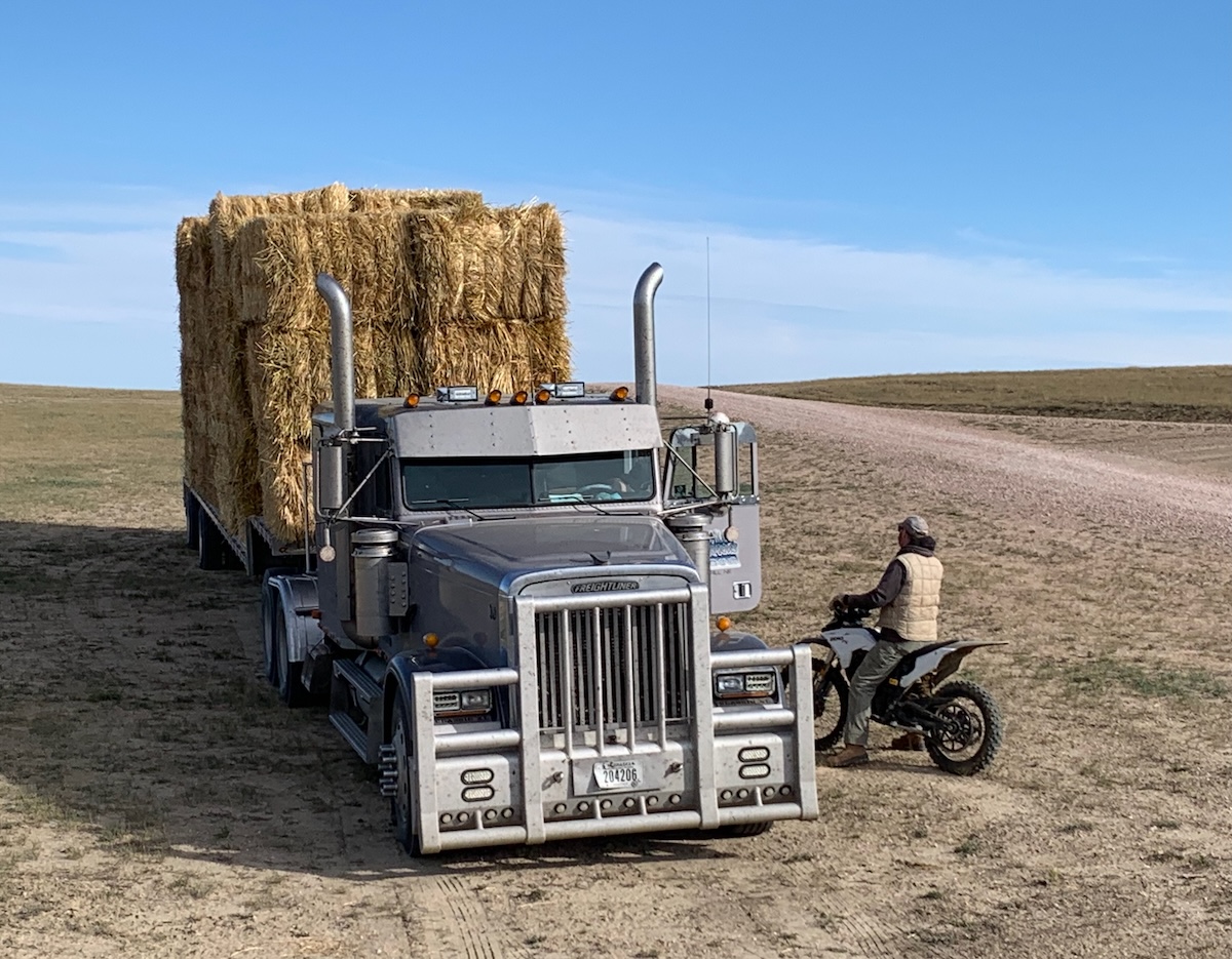 Wyoming Ranchers Battle Historic Drought: 'Extreme Heat' Forces Tough Choices (2026)