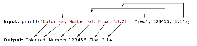 Solved Using The Printf Function What Would Be The Code To Display - Premium Landscape Illustration Gallery - 4K