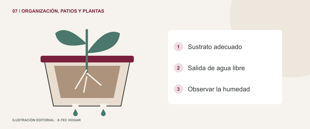 Corte conceptual de una maceta con raíces, sustrato y orificios de drenaje por donde sale agua.