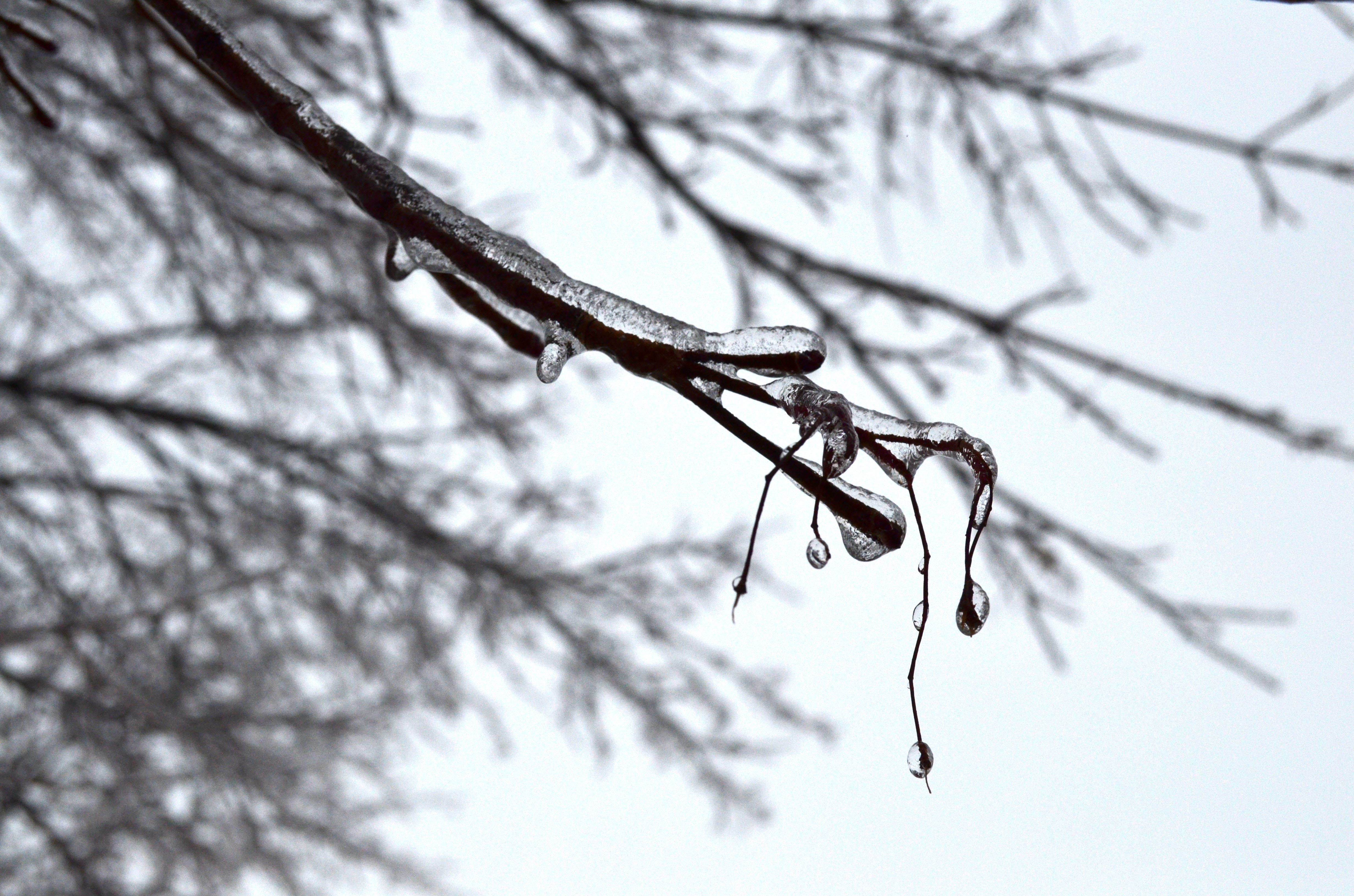 OSHAWA, Ont. (22/12/13) icy wonderland