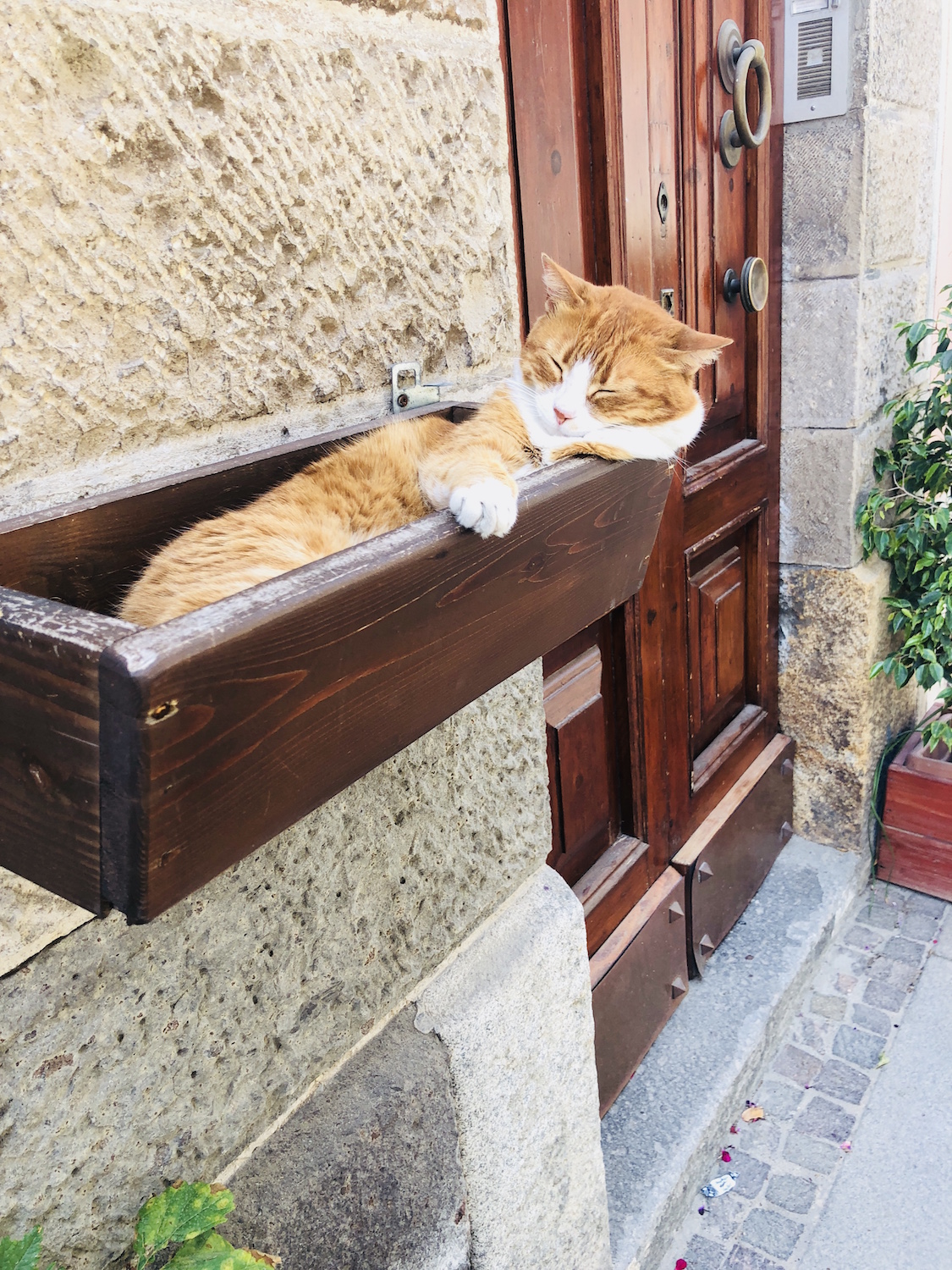 Non fanno rumore mentre cammini!